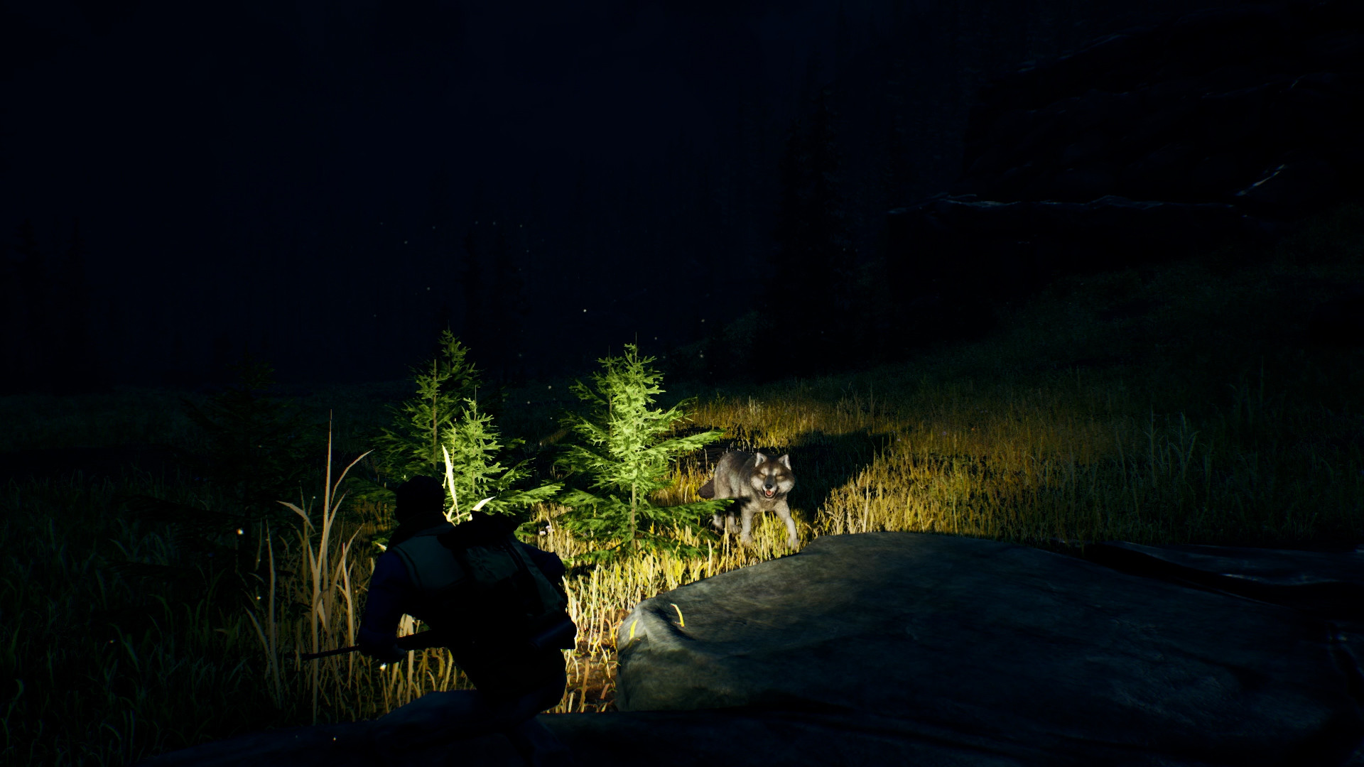 Open Country screenshot 3