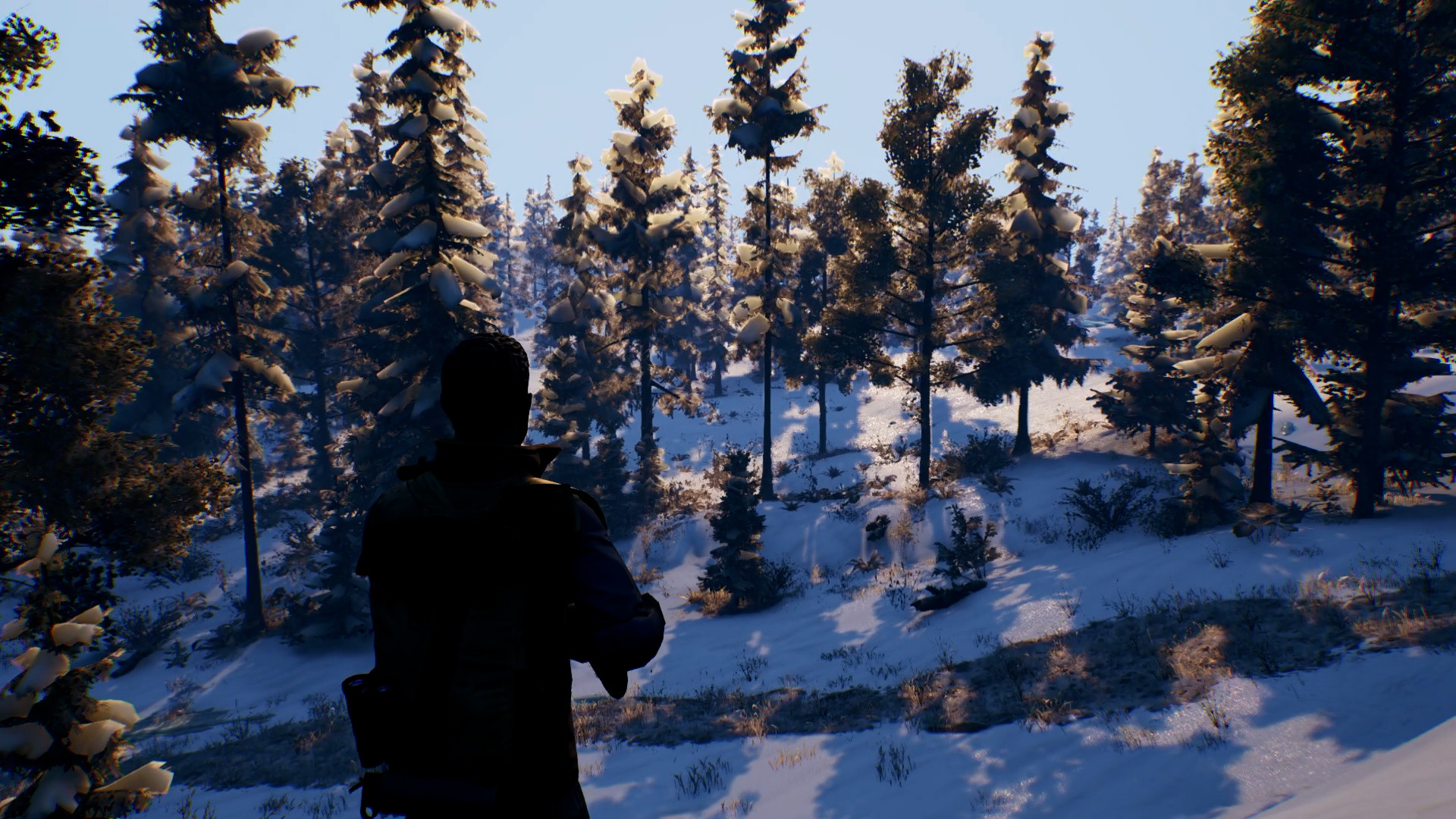Open Country screenshot 7