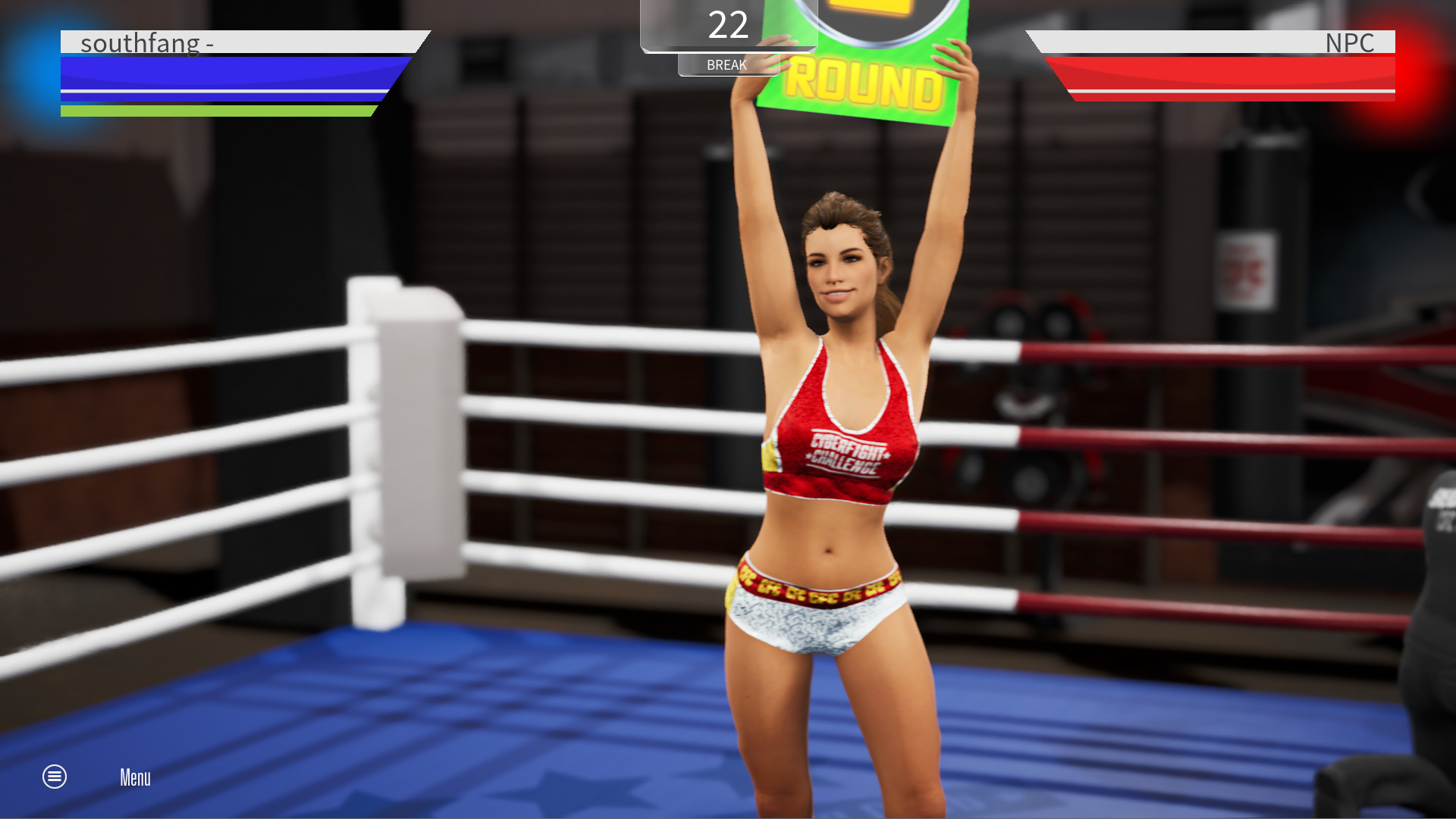 Cyber Fight Challenge screenshot 5