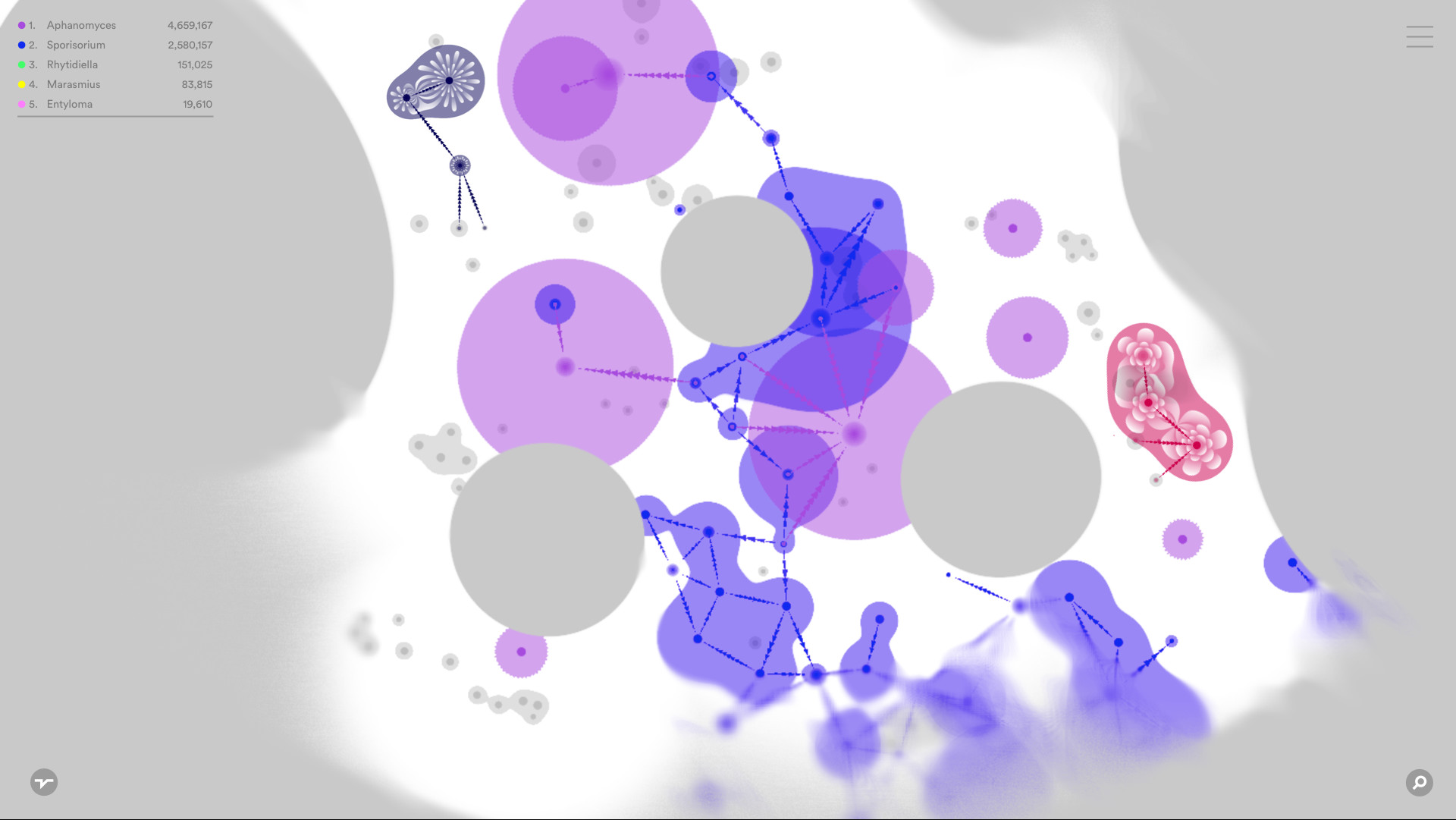 FUNGI screenshot 9