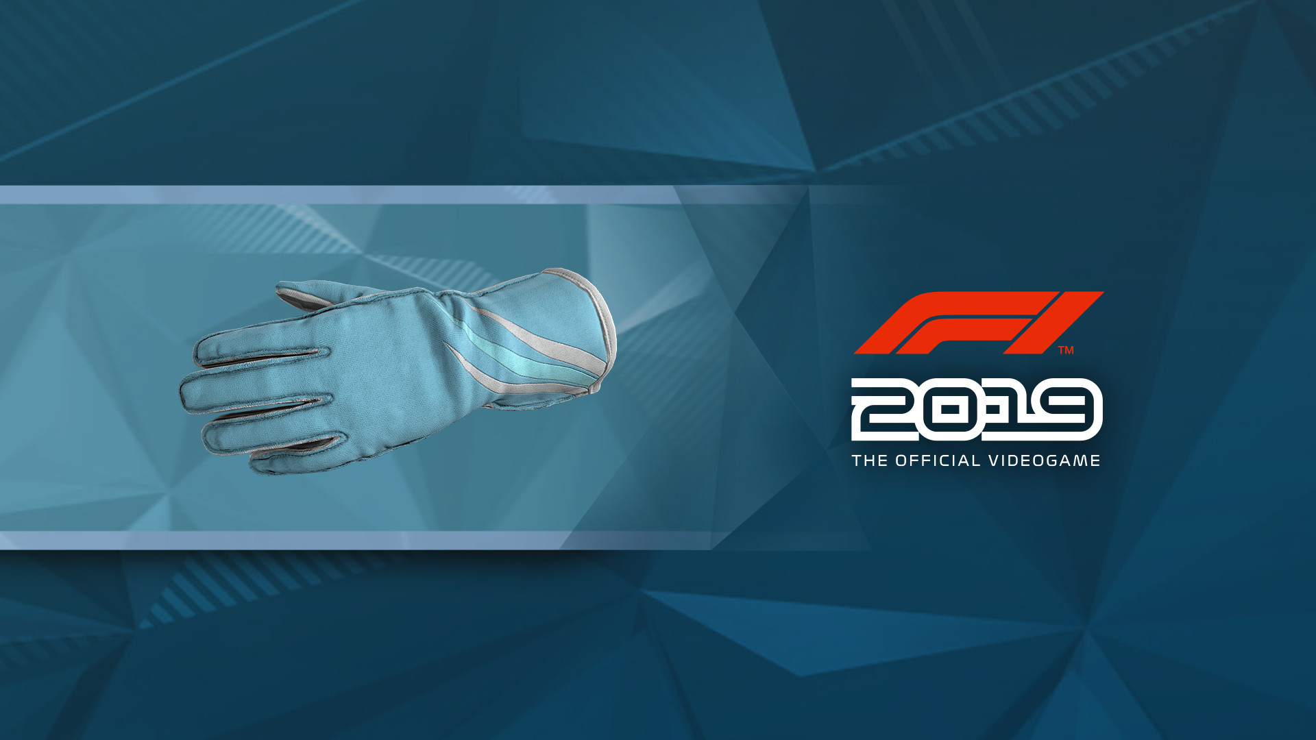 F1 2019: Gloves 'Jet Stream' screenshot 1