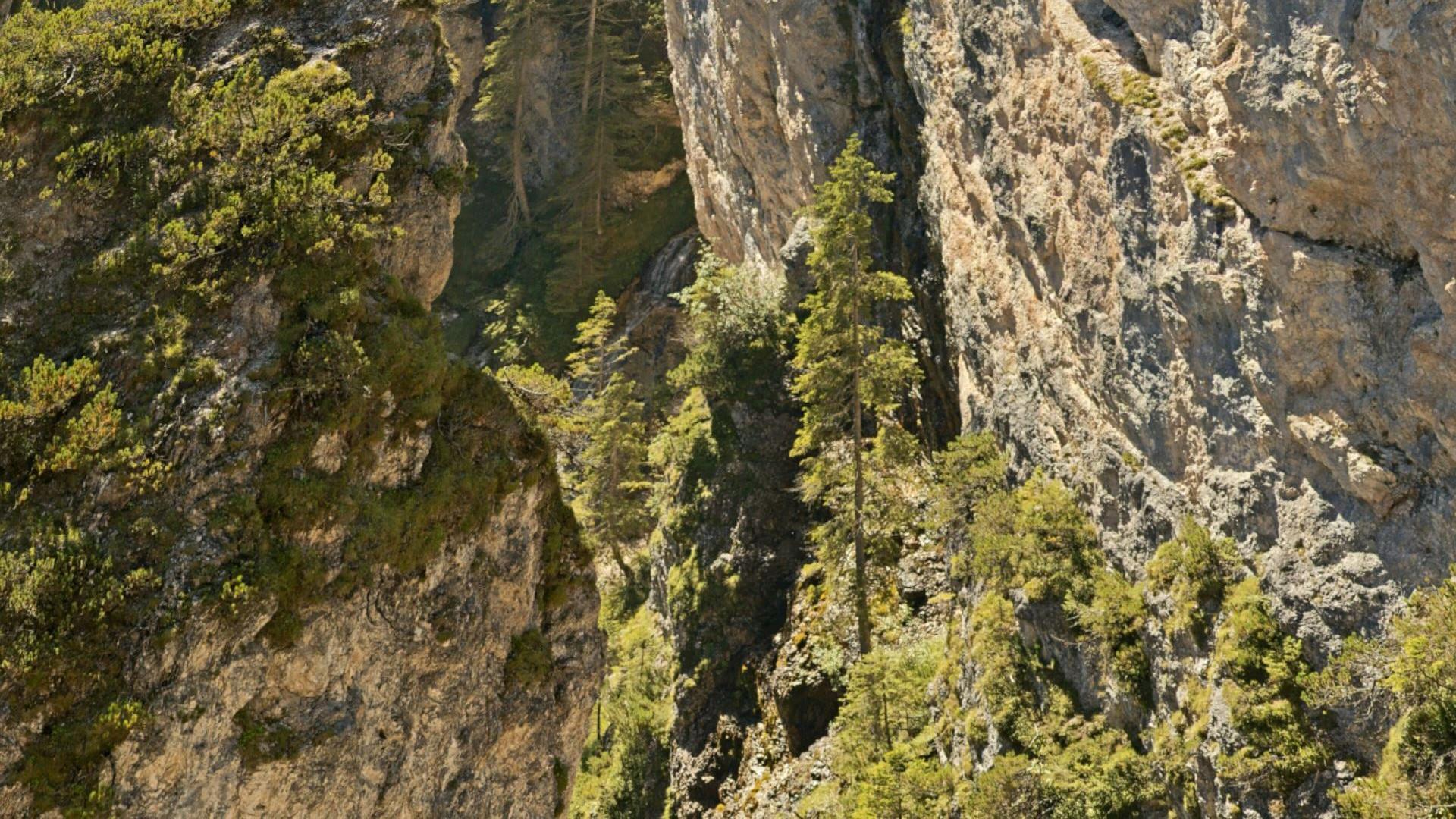 VR Gigapixel Gallery screenshot 16