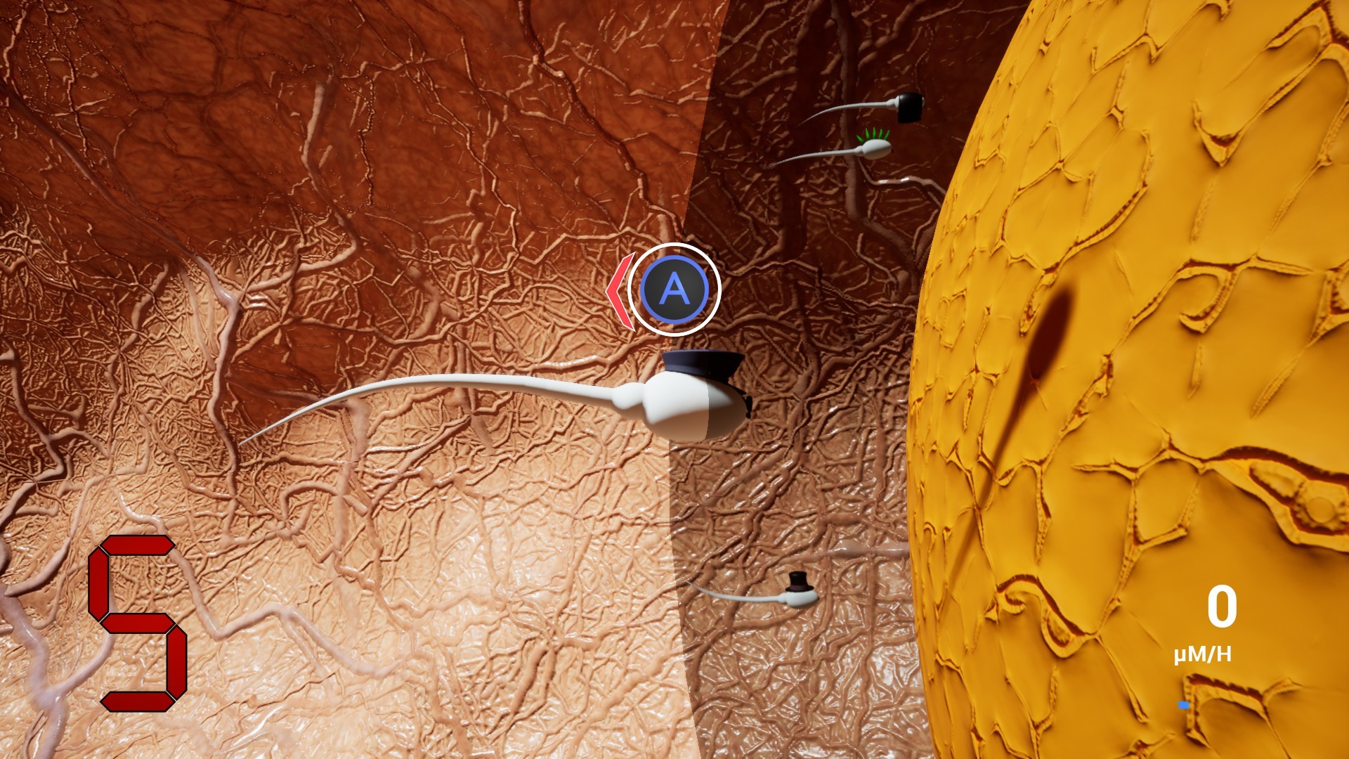 Spermula 1 screenshot 13