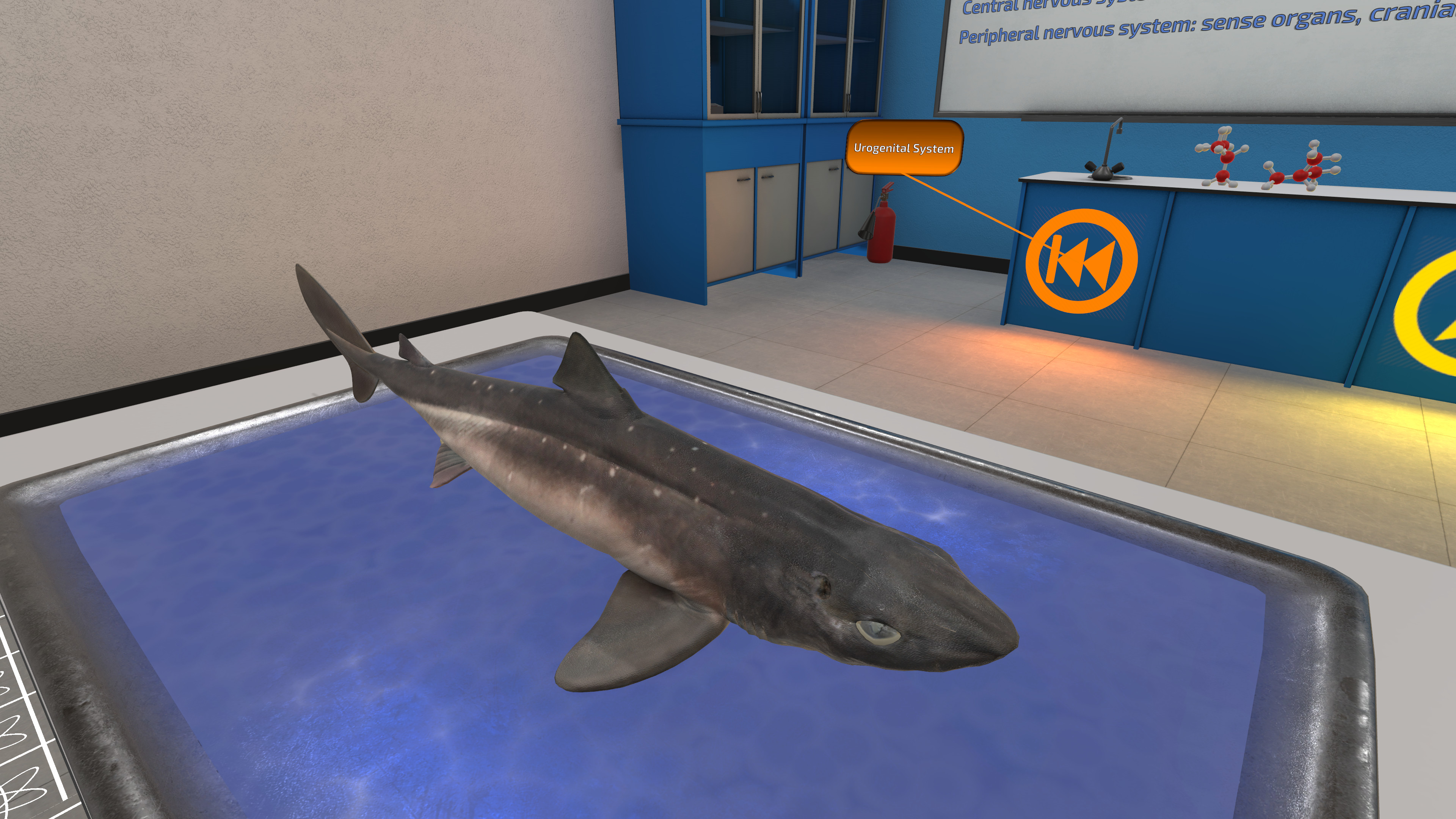 Dissection Simulator: Dogfish Edition screenshot 4