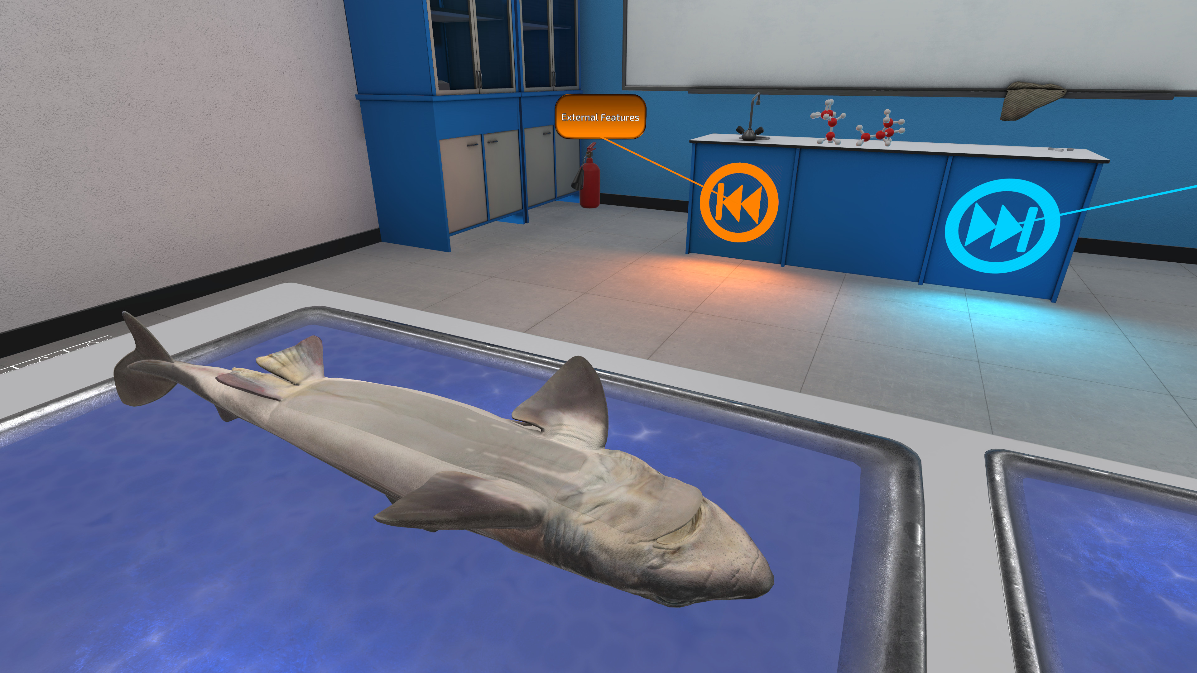 Dissection Simulator: Dogfish Edition screenshot 3