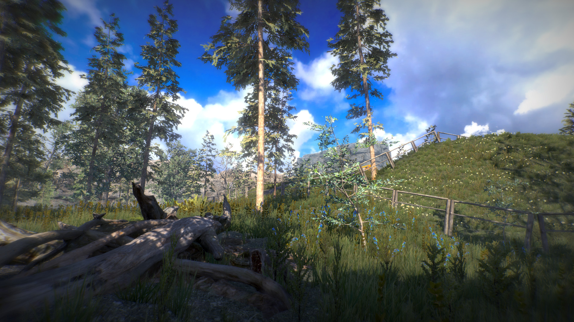 Position screenshot 1