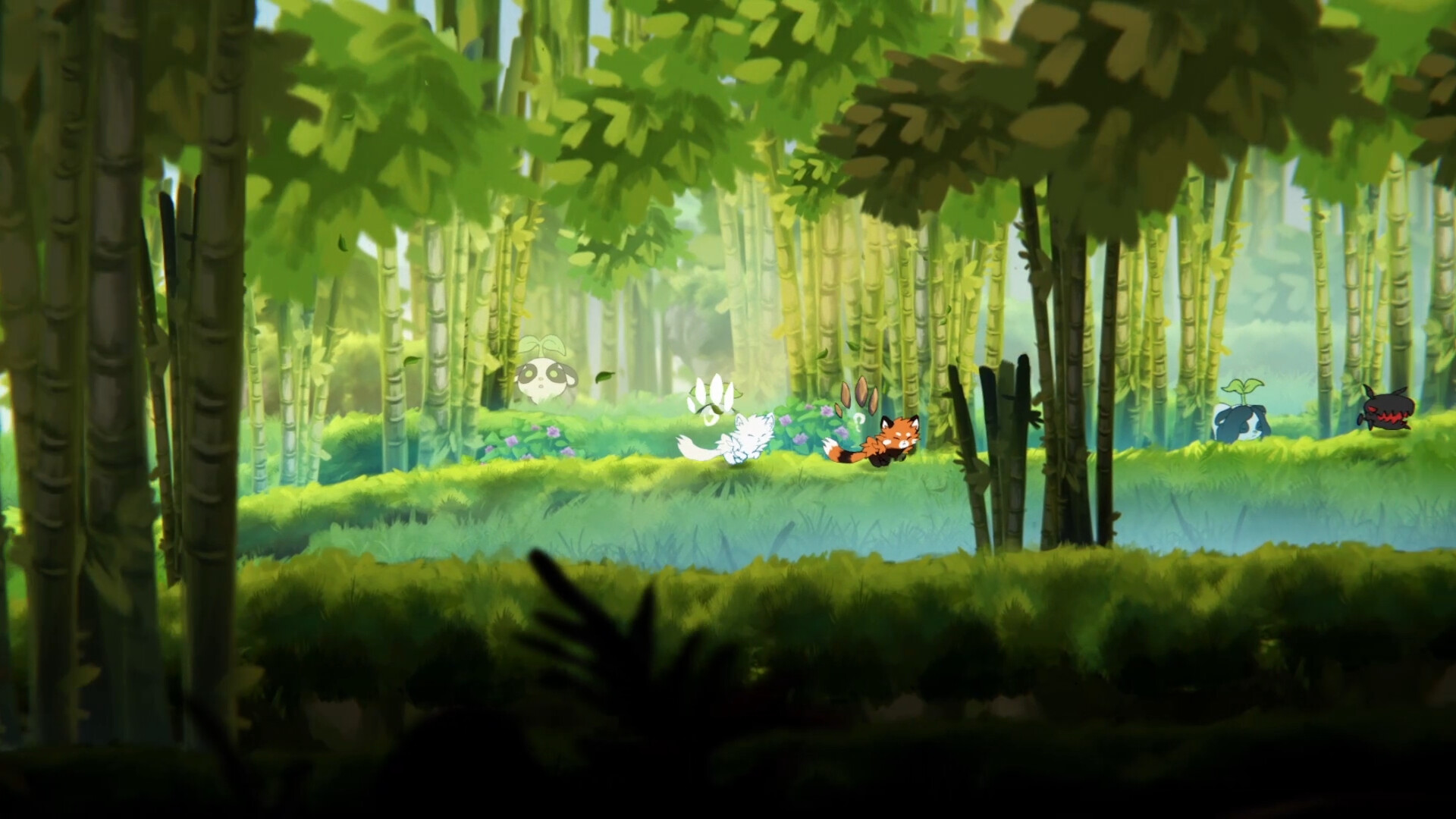 Ailuri screenshot 2