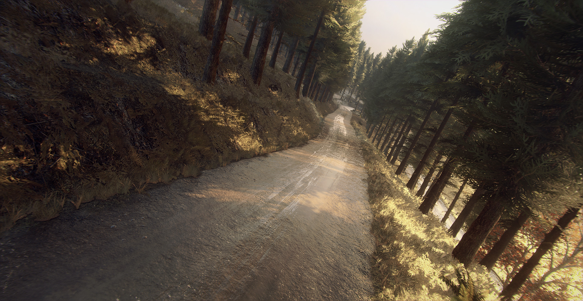 DiRT Rally 2.0 - Colin McRae: FLAT OUT Pack screenshot 3