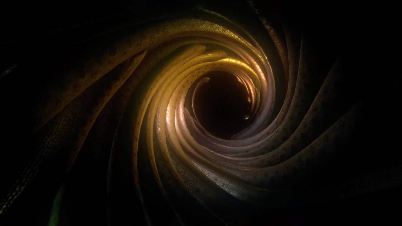 Ayahuasca screenshot 6