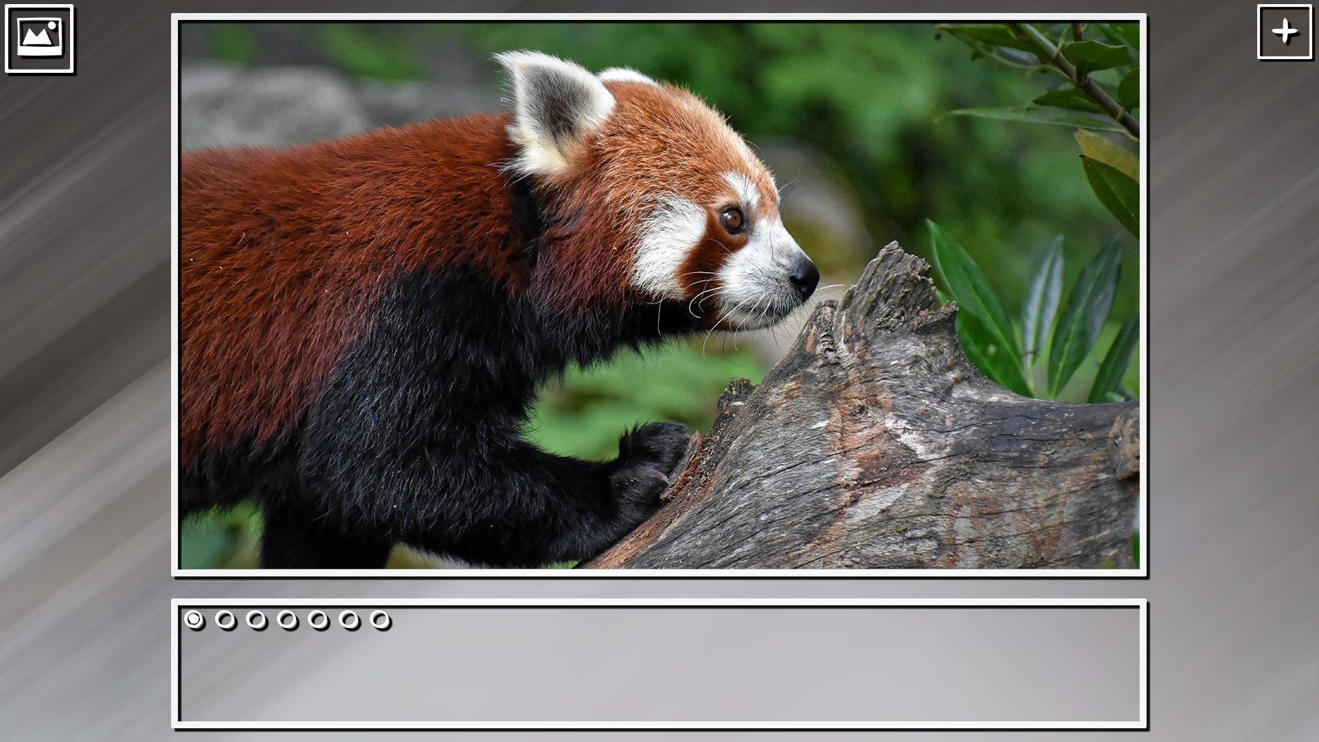 Super Jigsaw Puzzle: Generations - China Puzzles screenshot 11