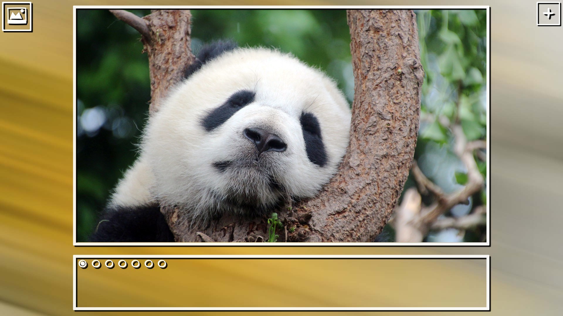 Super Jigsaw Puzzle: Generations - China Puzzles screenshot 13