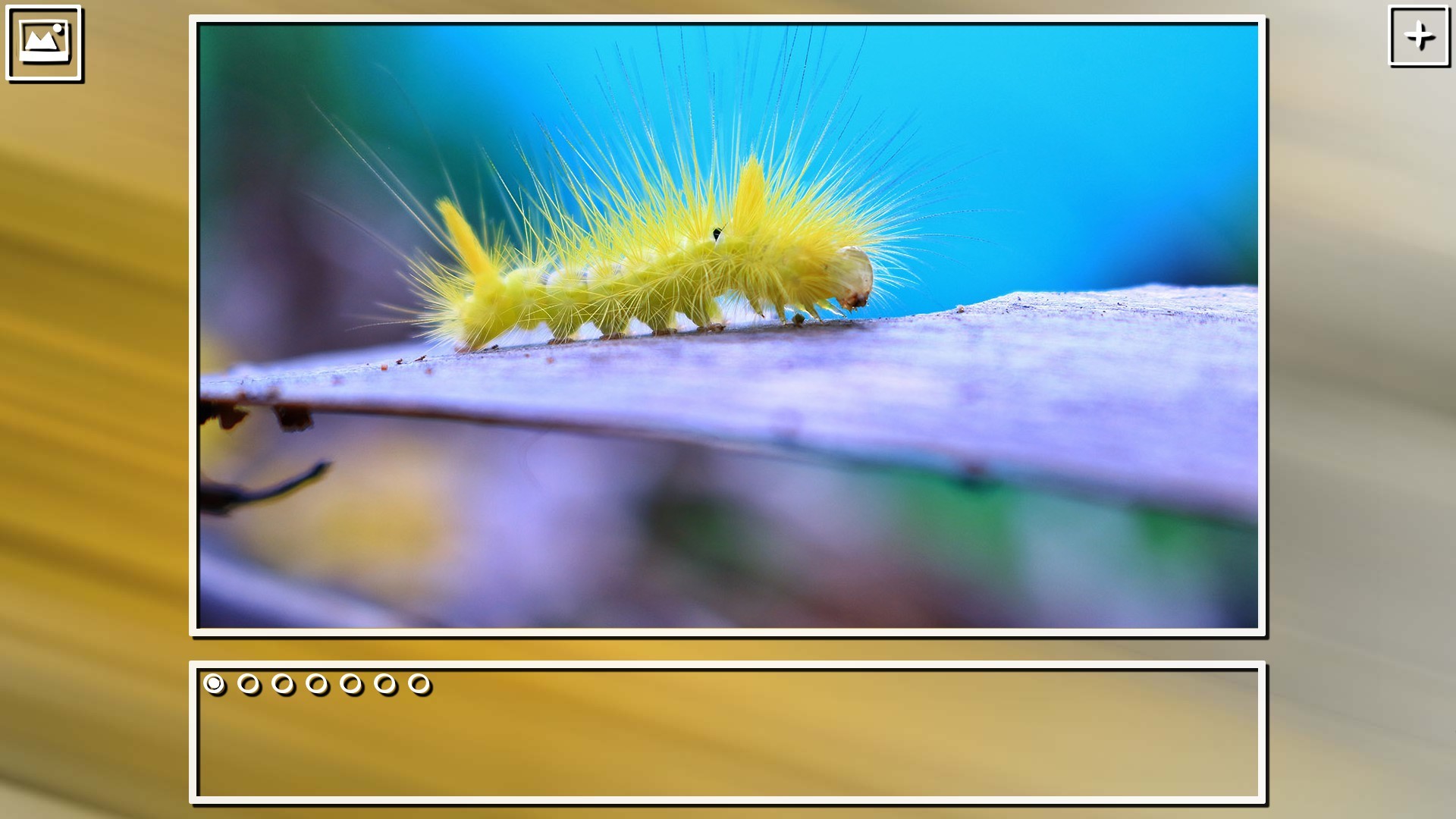 Super Jigsaw Puzzle: Generations - Bugs Puzzles screenshot 5