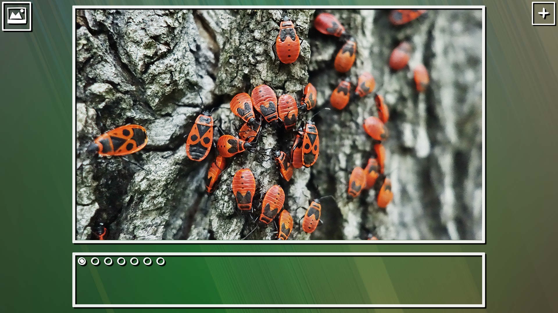 Super Jigsaw Puzzle: Generations - Bugs Puzzles screenshot 7