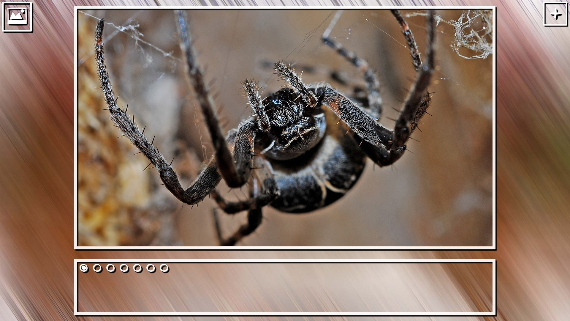 Super Jigsaw Puzzle: Generations - Bugs Puzzles screenshot 18