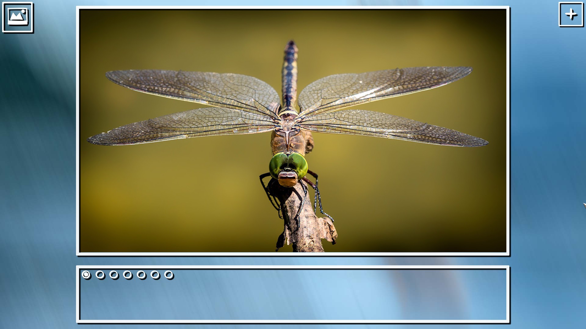 Super Jigsaw Puzzle: Generations - Bugs Puzzles screenshot 11