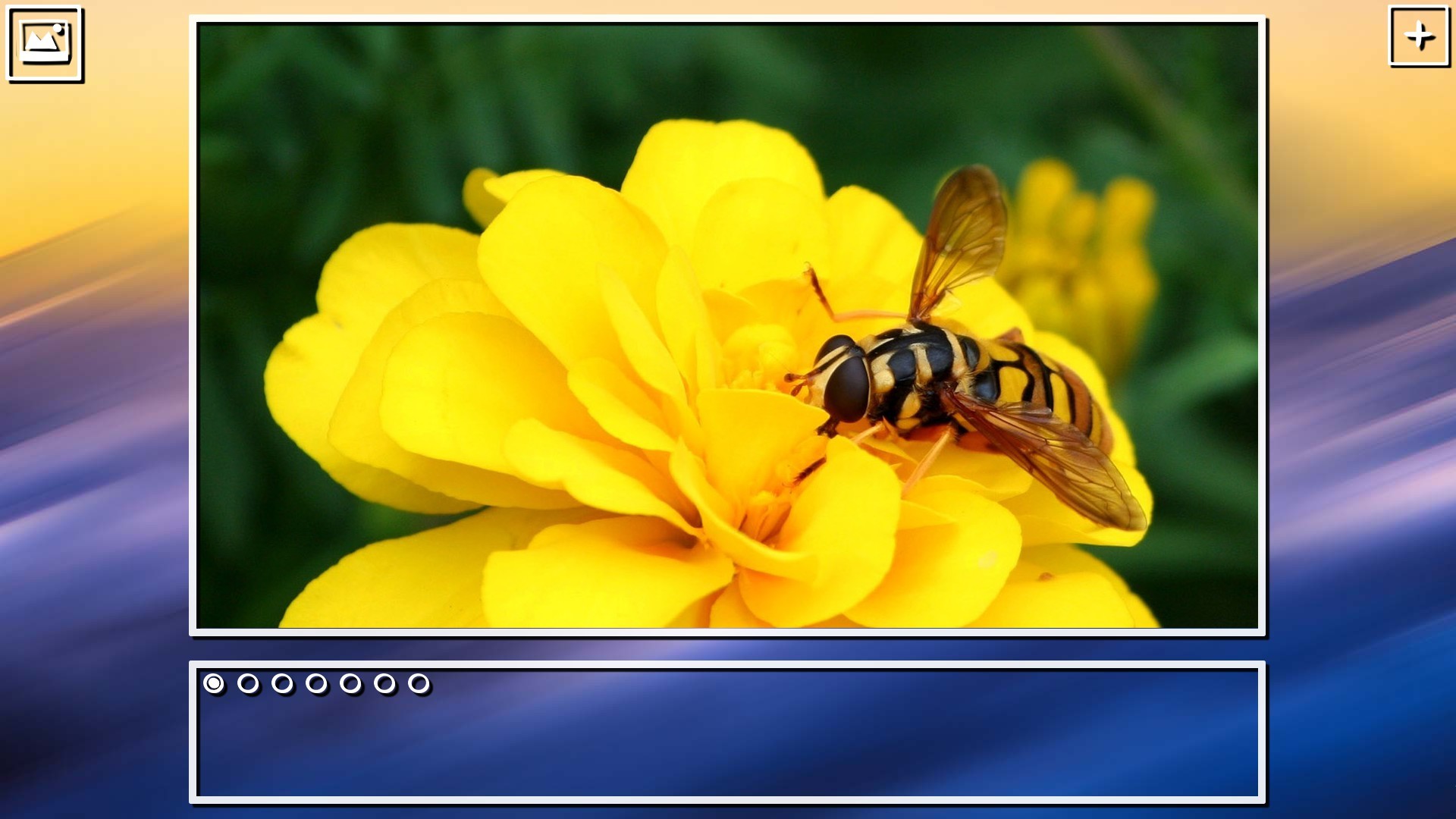 Super Jigsaw Puzzle: Generations - Bugs Puzzles screenshot 14