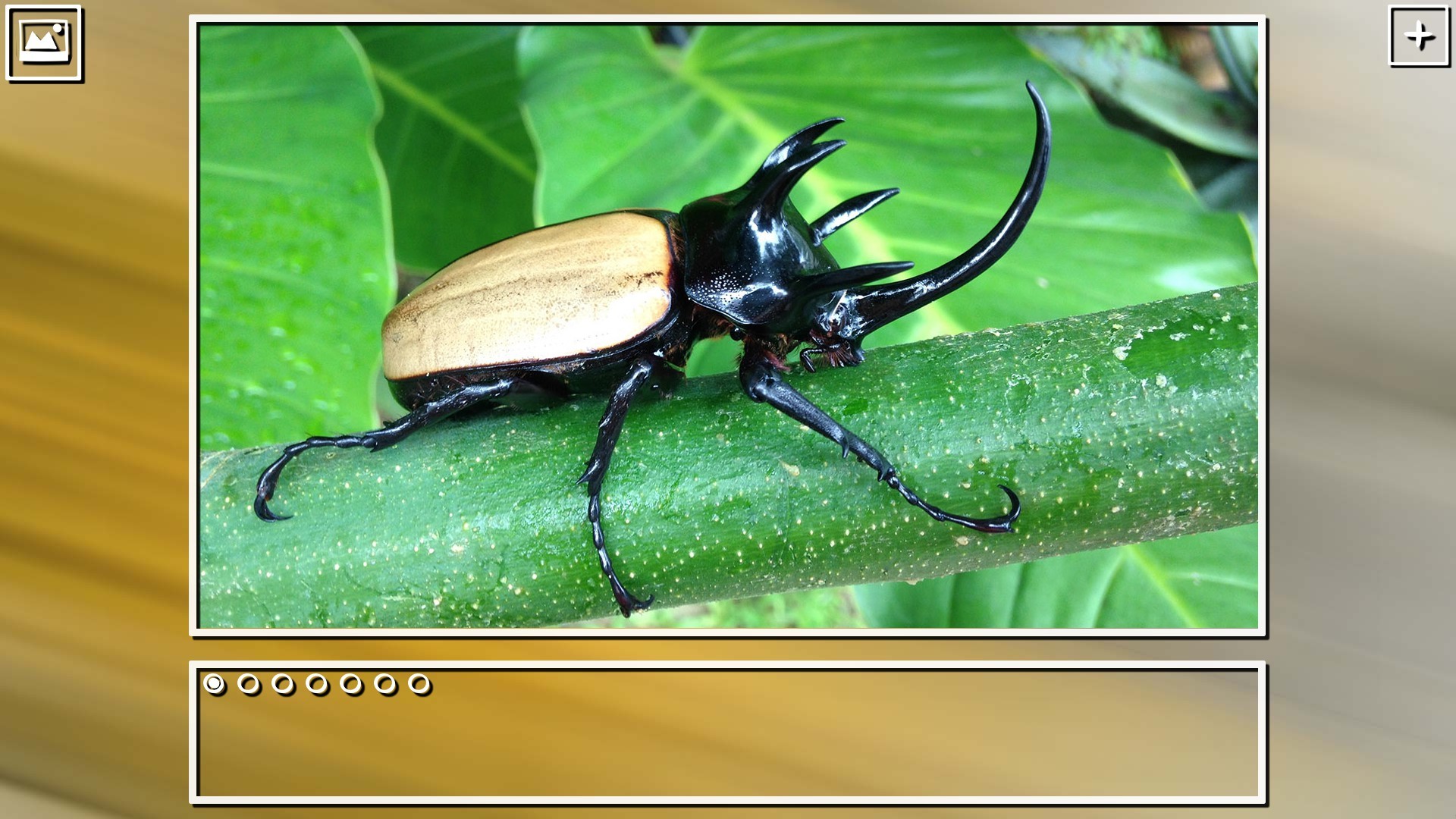 Super Jigsaw Puzzle: Generations - Bugs Puzzles screenshot 6