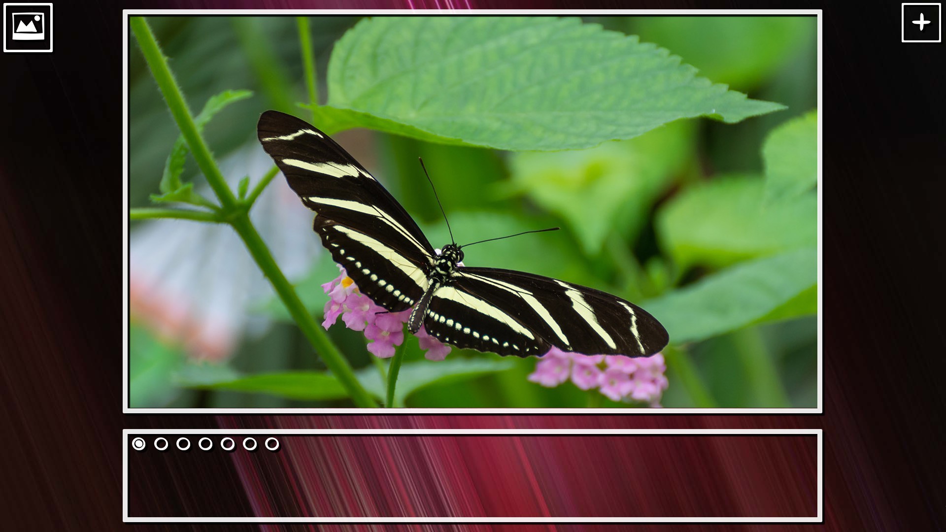 Super Jigsaw Puzzle: Generations - Bugs Puzzles screenshot 9