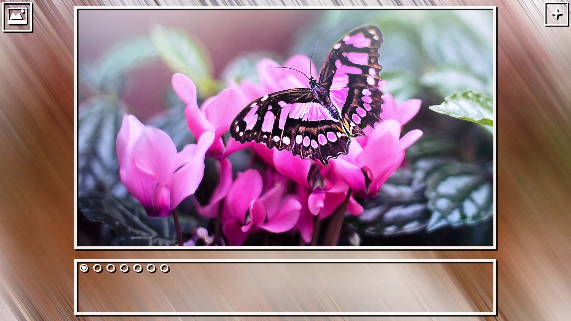 Super Jigsaw Puzzle: Generations - Bugs Puzzles screenshot 16