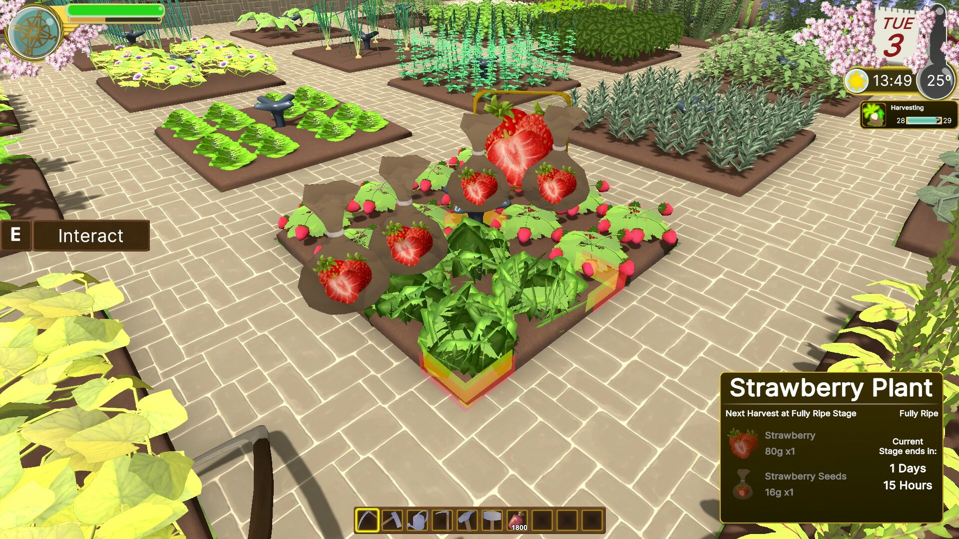 Edengrall screenshot 19
