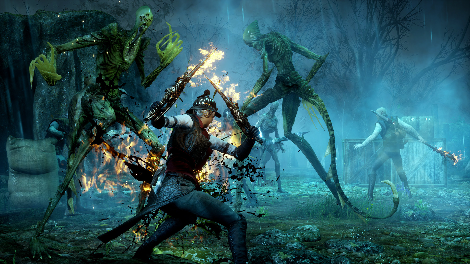 Dragon Age™ Inquisition screenshot 2