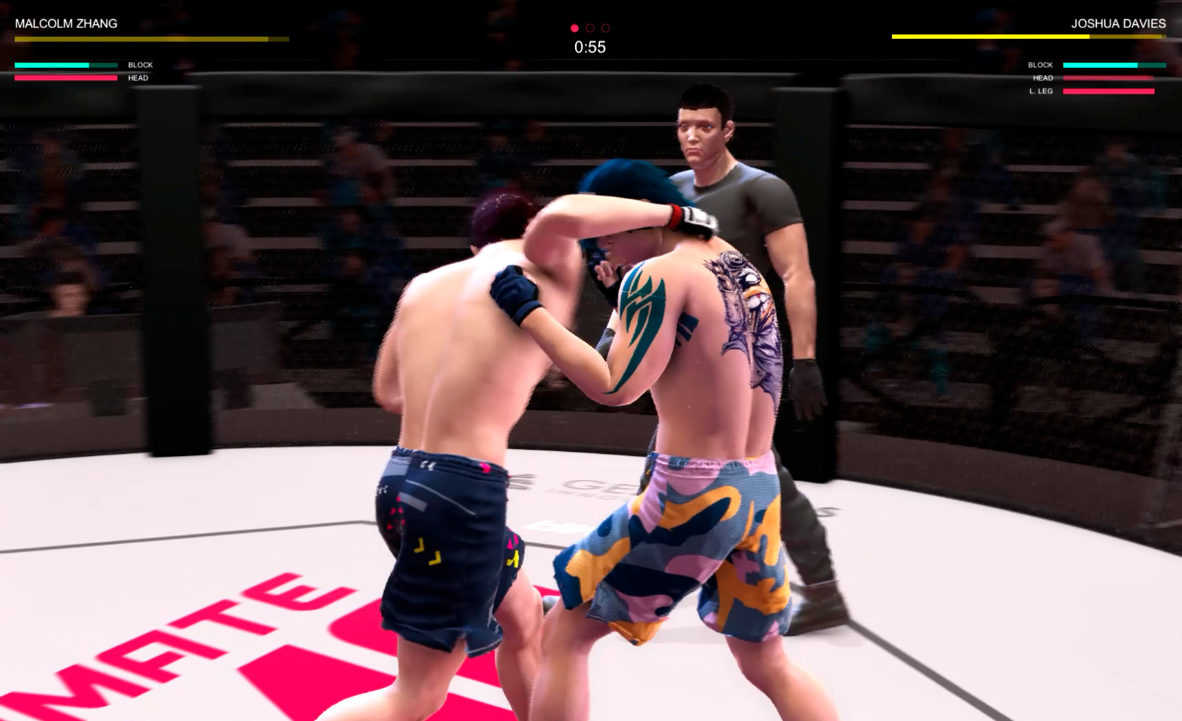 Ultimate MMA screenshot 12