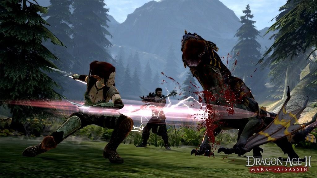 Dragon Age II DLC Bundle screenshot 5