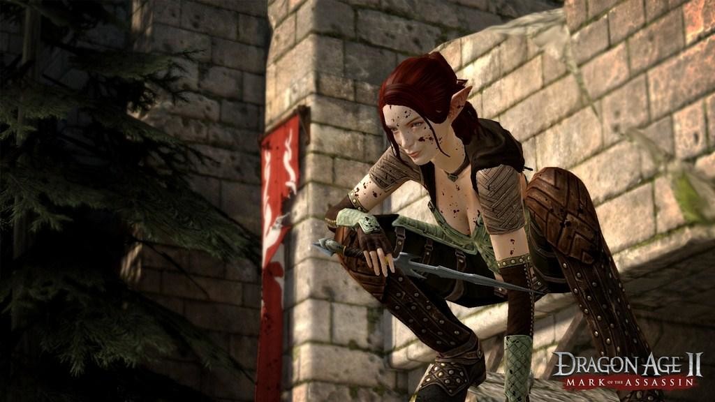 Dragon Age II DLC Bundle screenshot 1