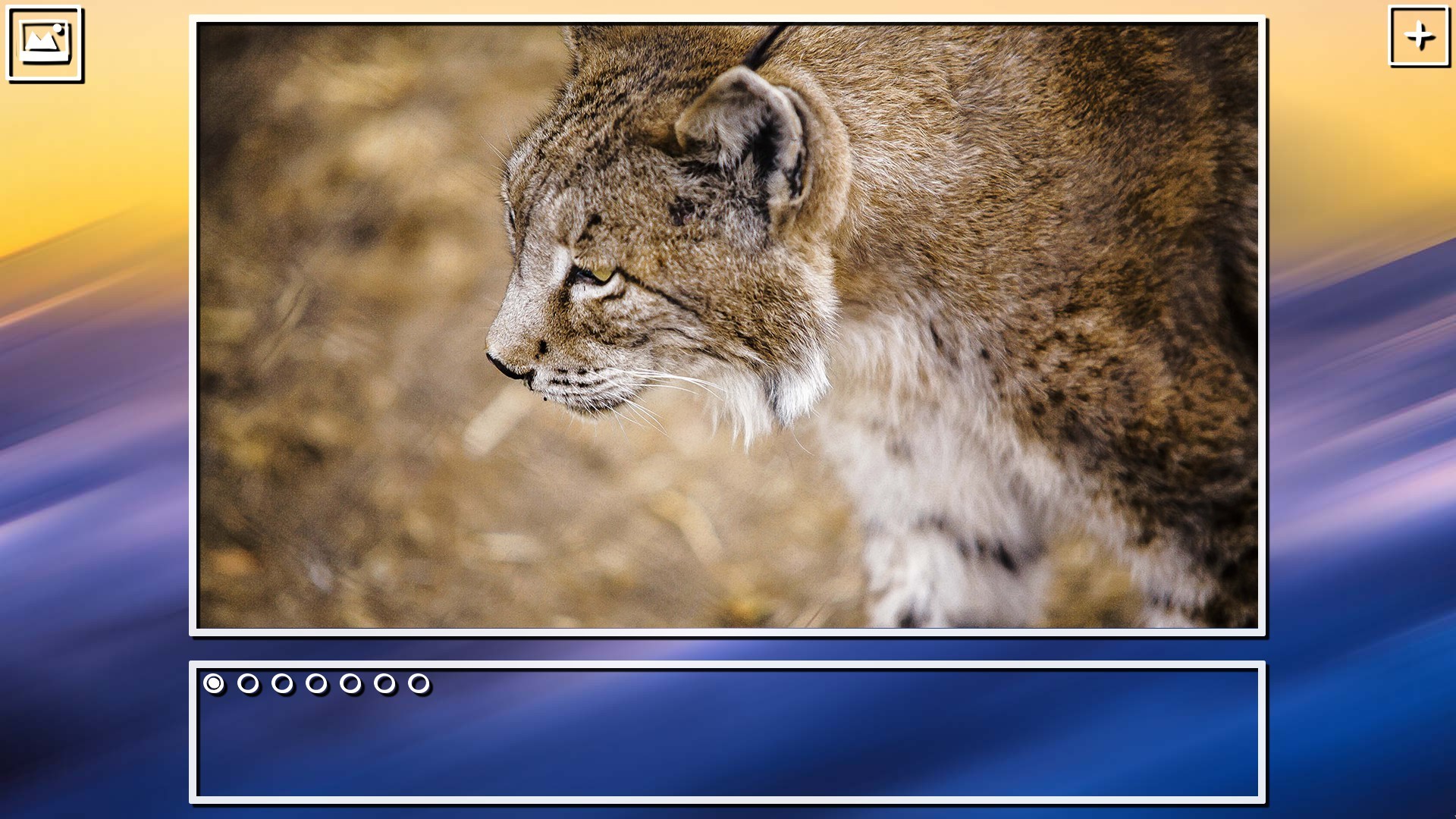 Super Jigsaw Puzzle: Generations - Spain Puzzles screenshot 4