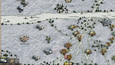 Screenshot 21