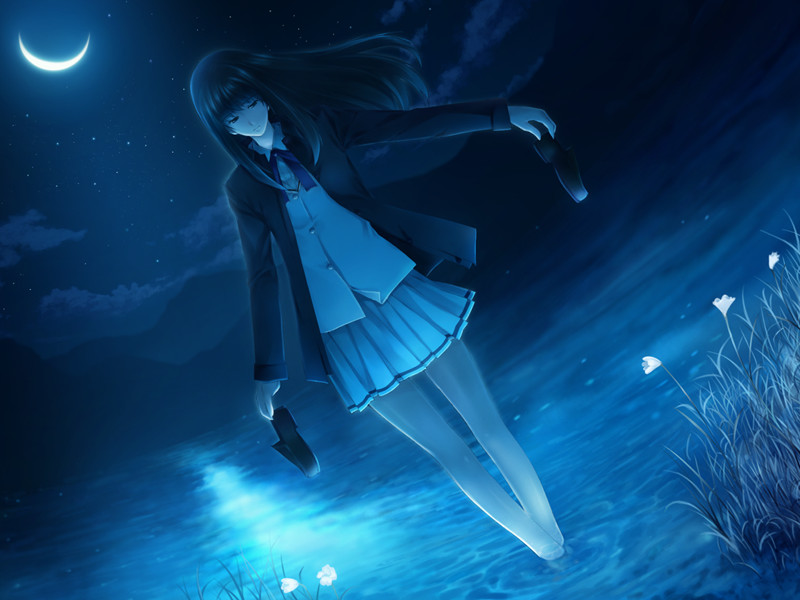 Kara no Shojo Soundtrack screenshot 2