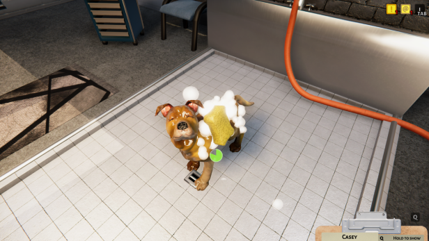 Animal Shelter thumbnail