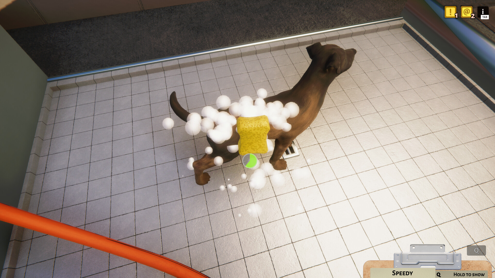 Animal Shelter — изображение 2