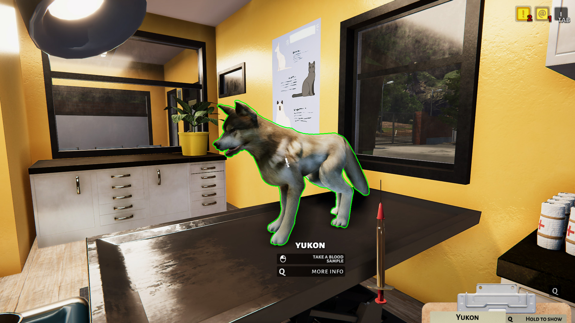 Animal Shelter — изображение 11