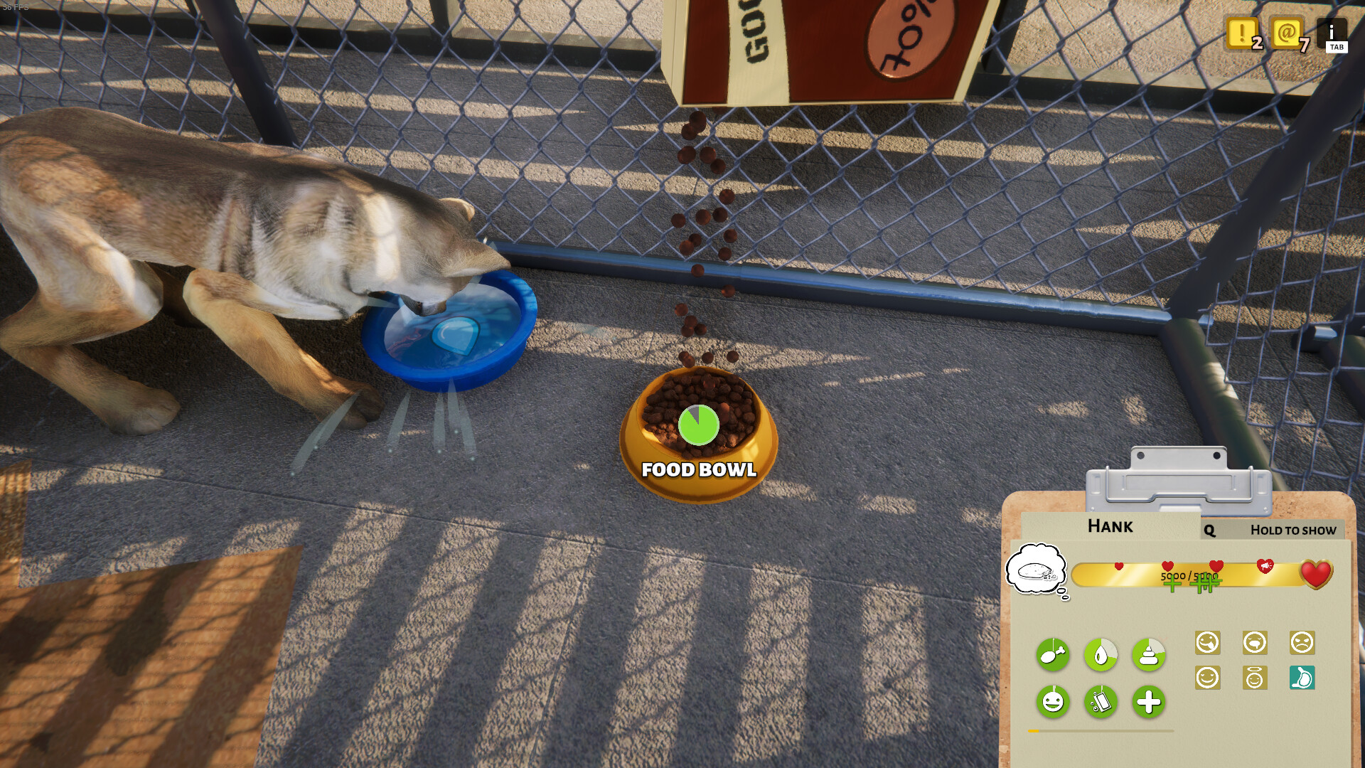 Animal Shelter — изображение 8