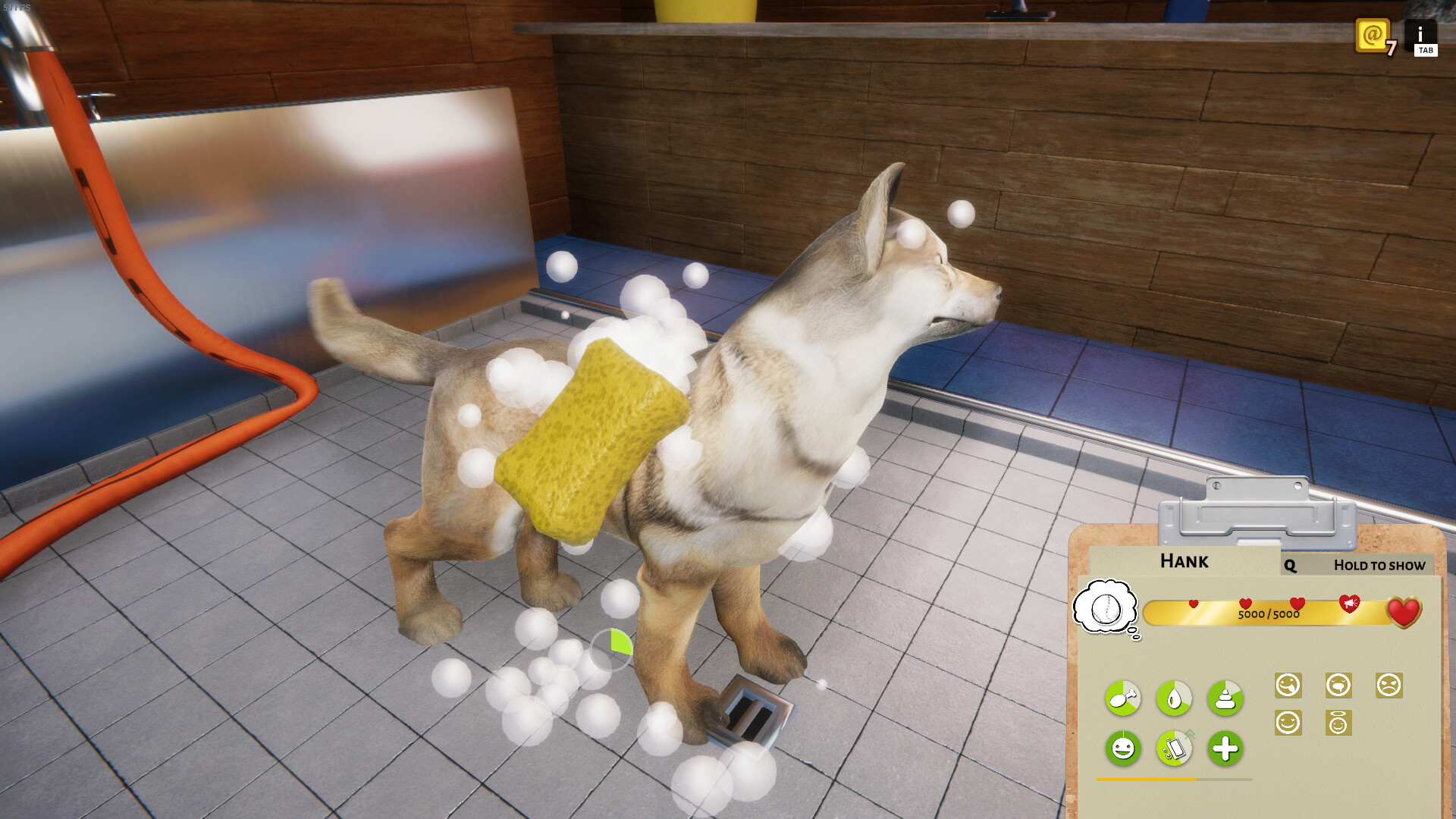 Animal Shelter — изображение 15