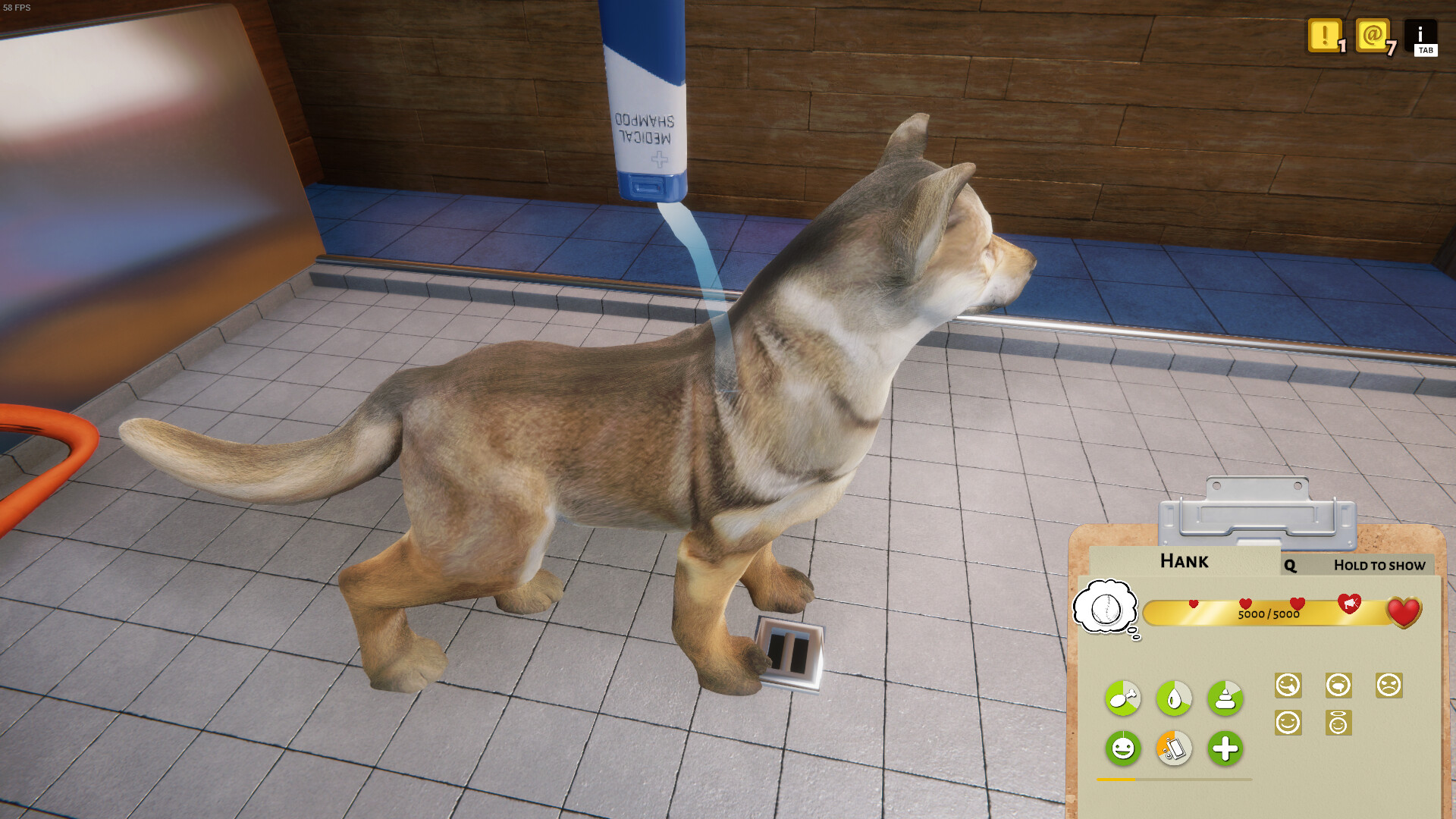 Animal Shelter — изображение 9