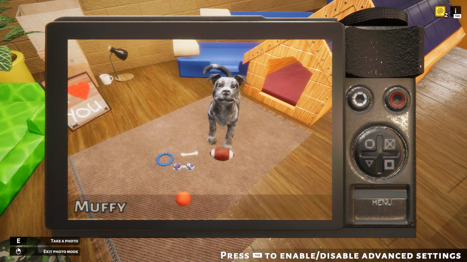 Animal Shelter — изображение 6