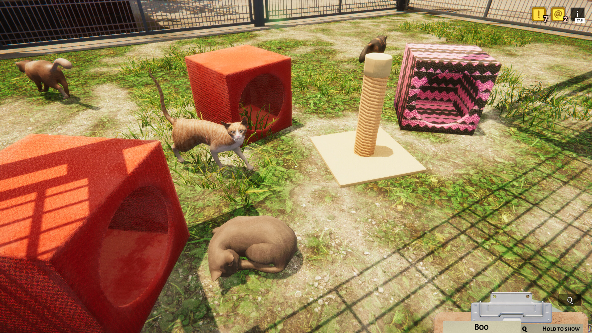 Animal Shelter — изображение 4