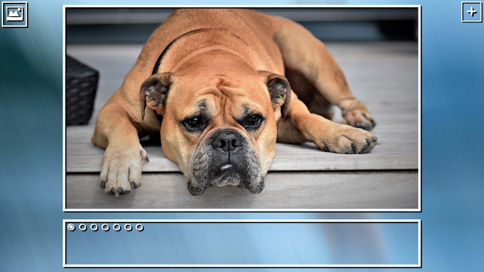 Super Jigsaw Puzzle: Generations - Dogs Puzzles screenshot 7