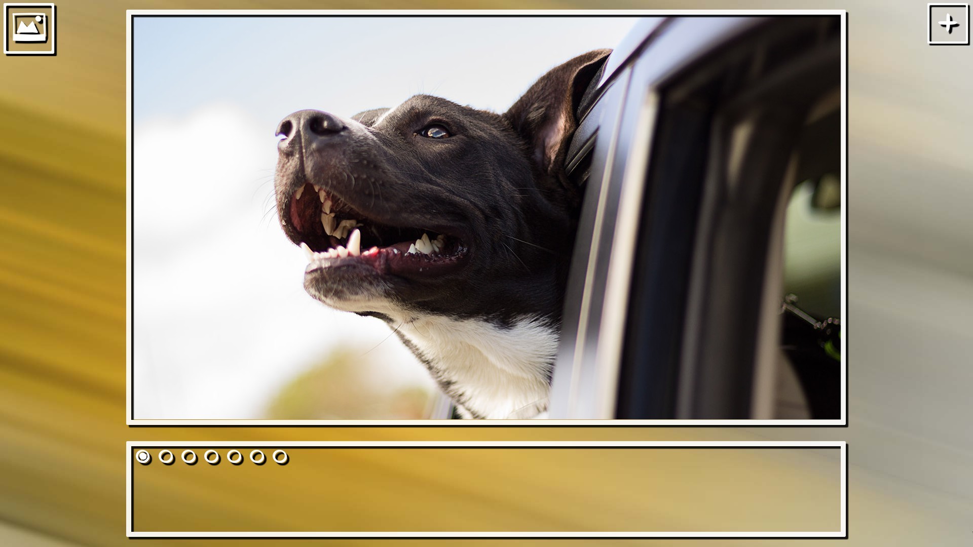 Super Jigsaw Puzzle: Generations - Dogs Puzzles screenshot 9