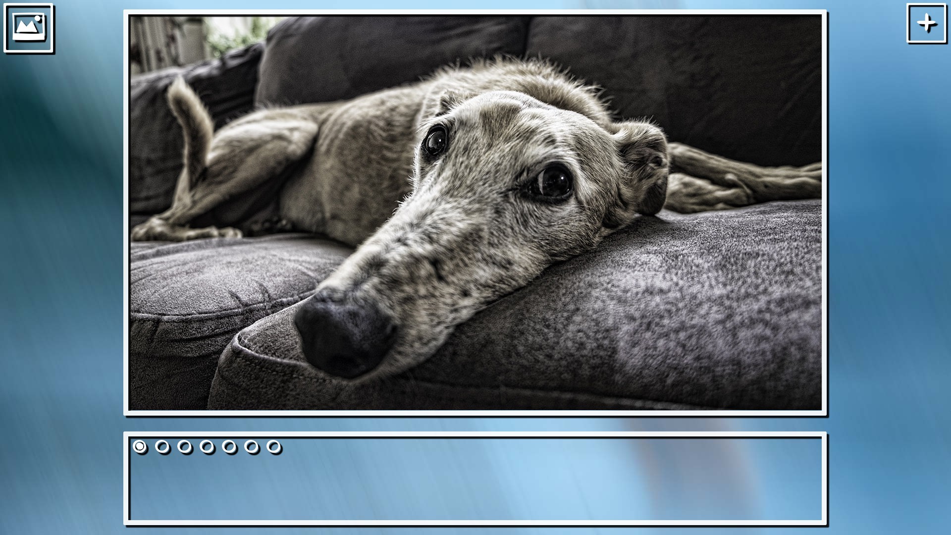 Super Jigsaw Puzzle: Generations - Dogs Puzzles screenshot 14