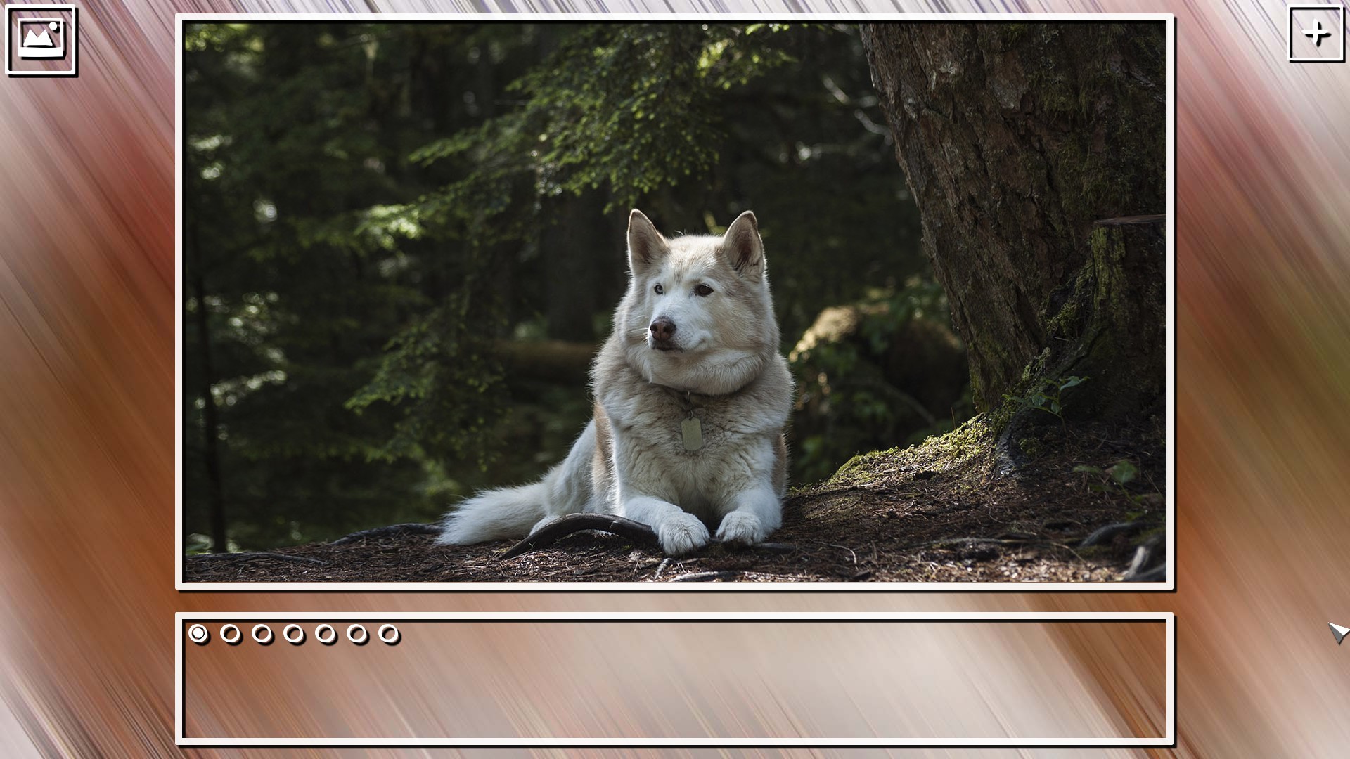 Super Jigsaw Puzzle: Generations - Dogs Puzzles screenshot 16