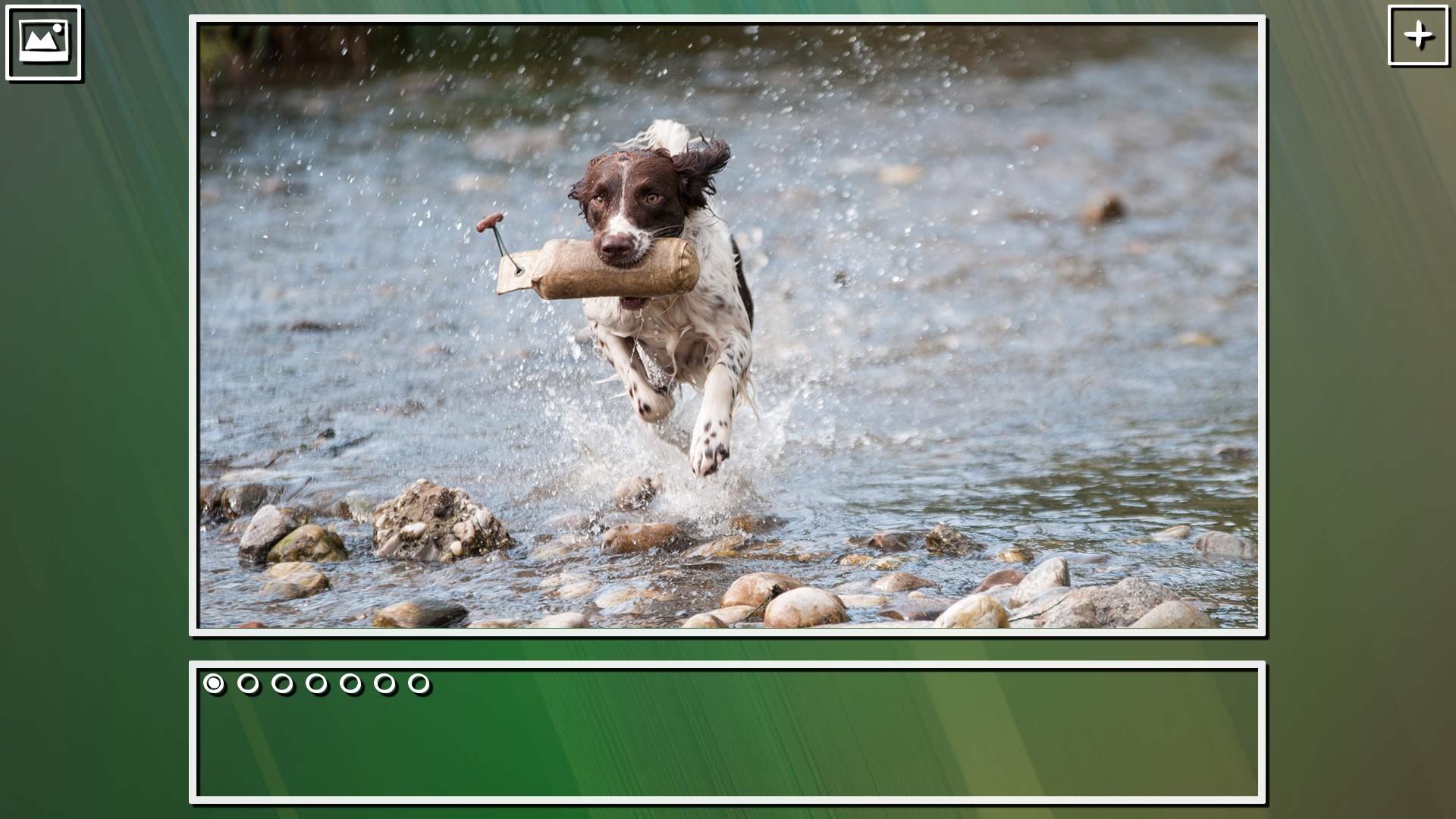 Super Jigsaw Puzzle: Generations - Dogs Puzzles screenshot 10