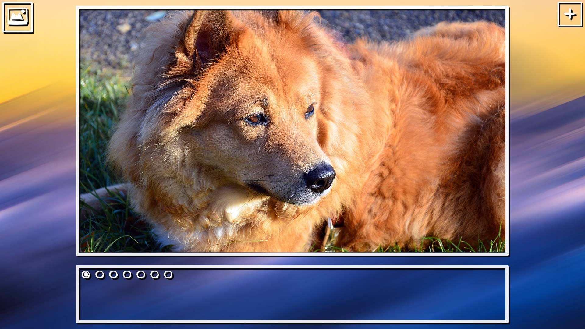 Super Jigsaw Puzzle: Generations - Dogs Puzzles screenshot 3