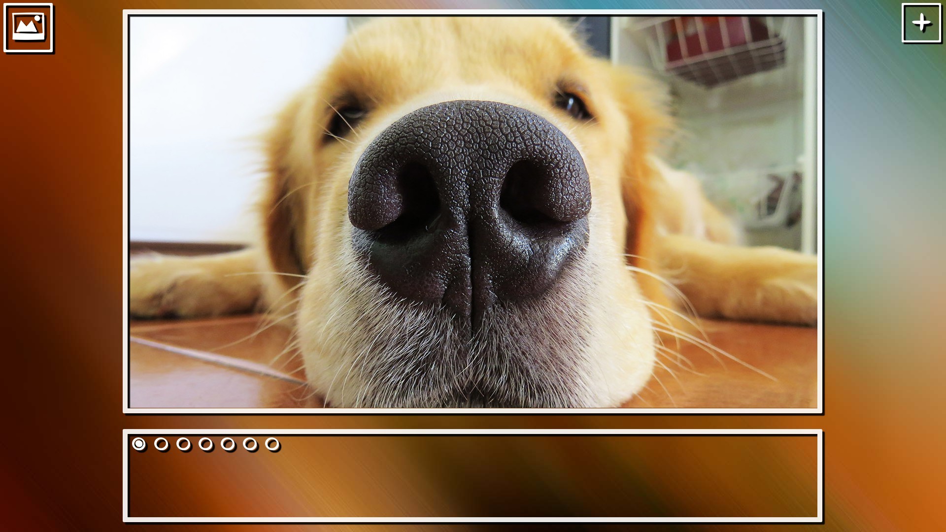 Super Jigsaw Puzzle: Generations - Dogs Puzzles screenshot 6