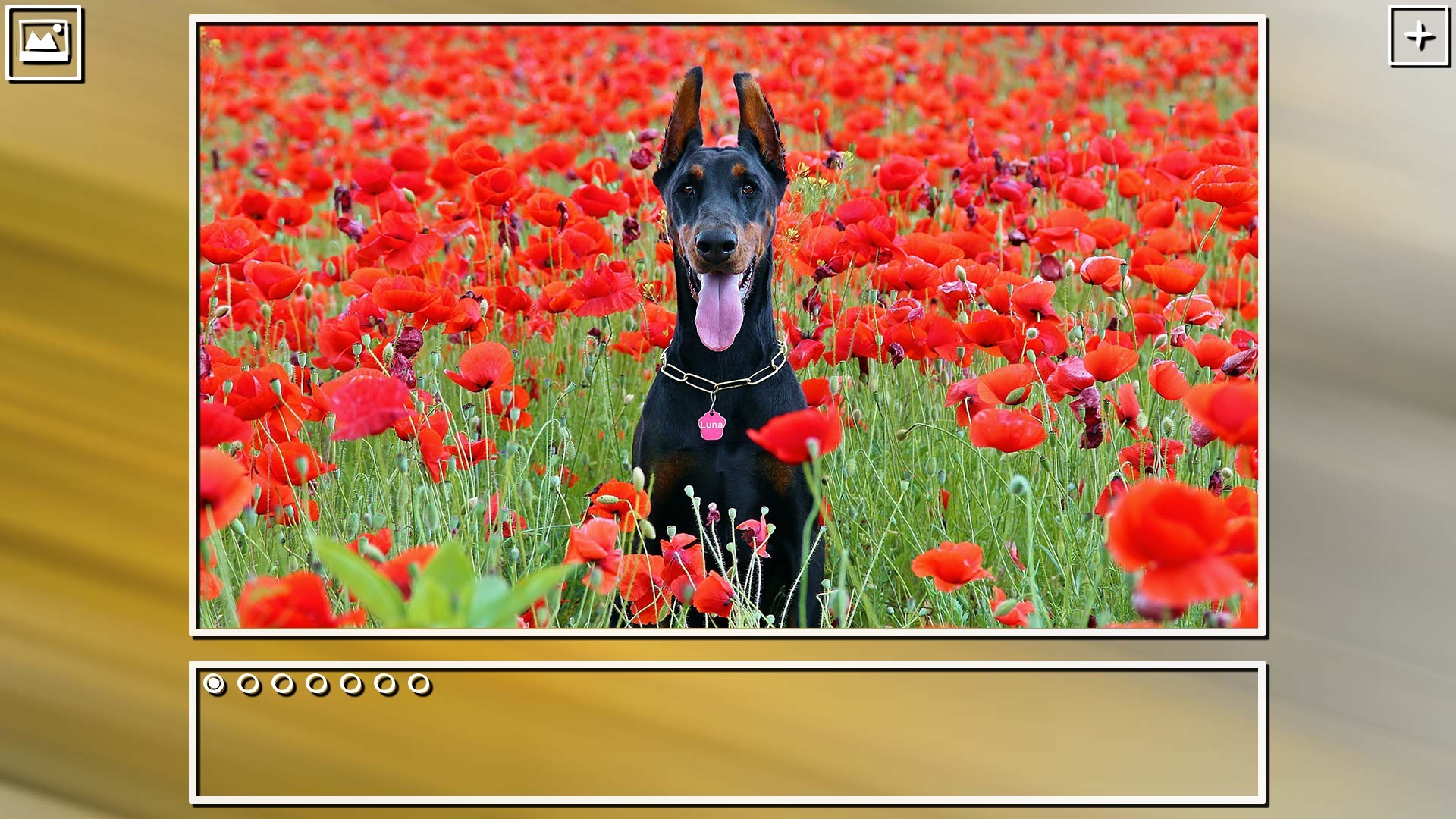 Super Jigsaw Puzzle: Generations - Dogs Puzzles screenshot 8