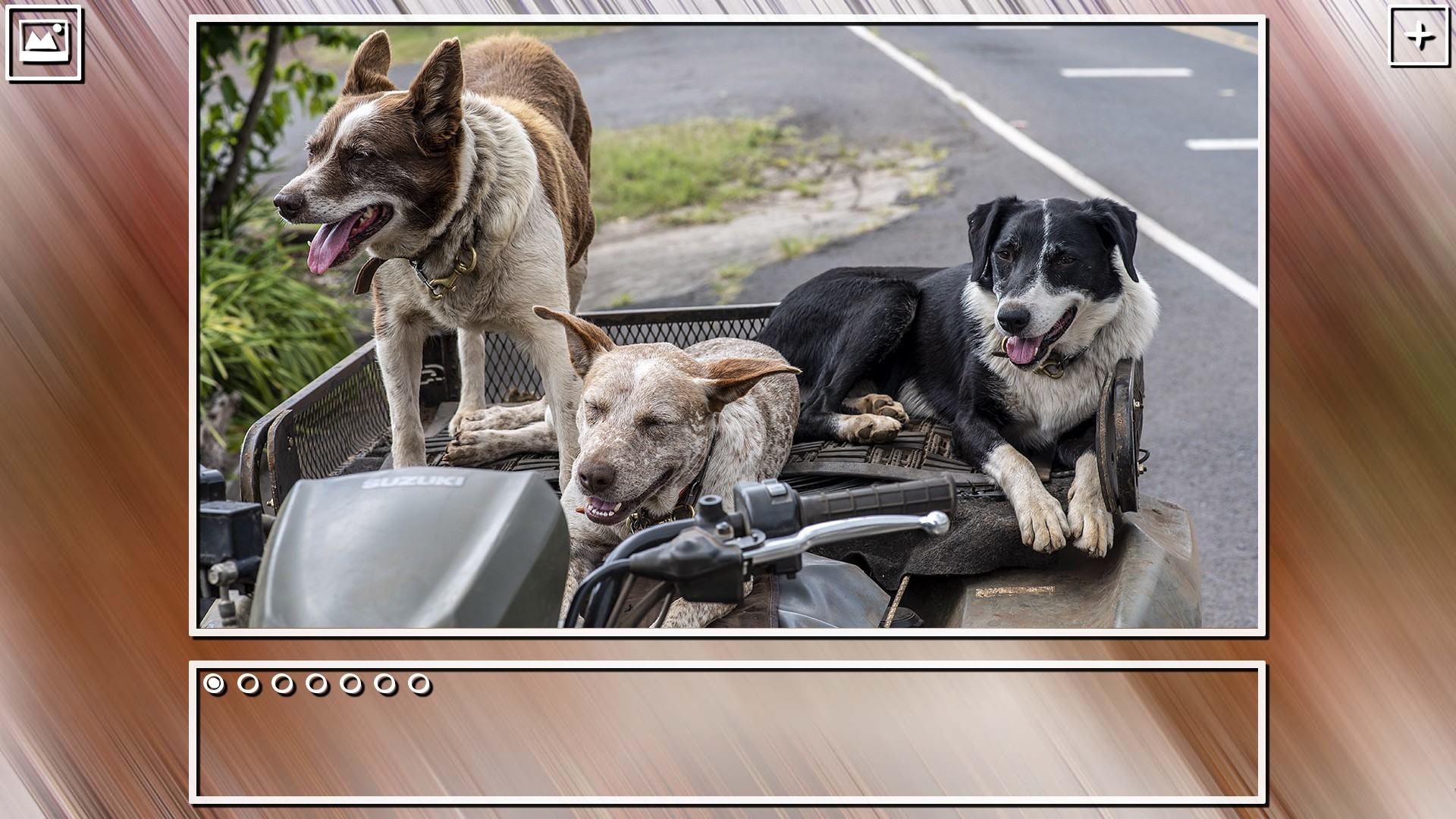 Super Jigsaw Puzzle: Generations - Dogs Puzzles screenshot 4