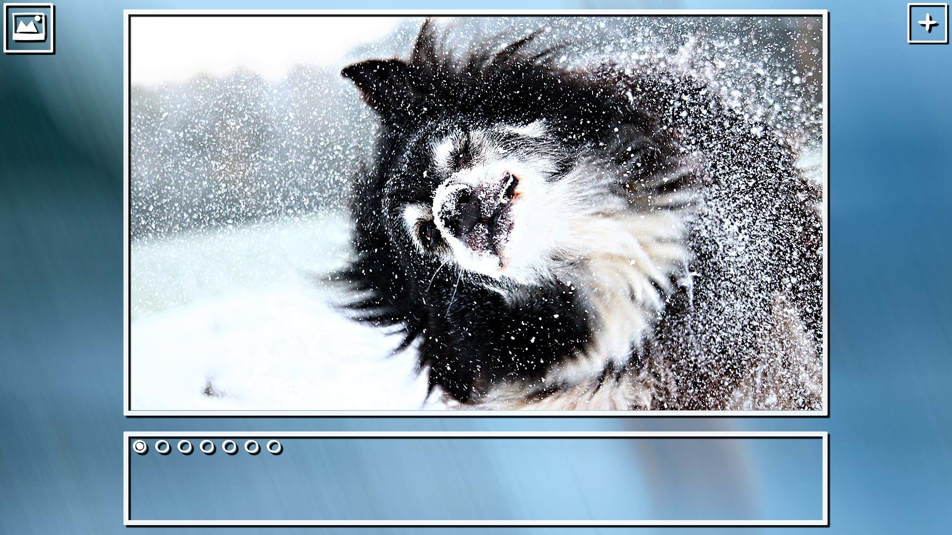 Super Jigsaw Puzzle: Generations - Dogs Puzzles screenshot 19