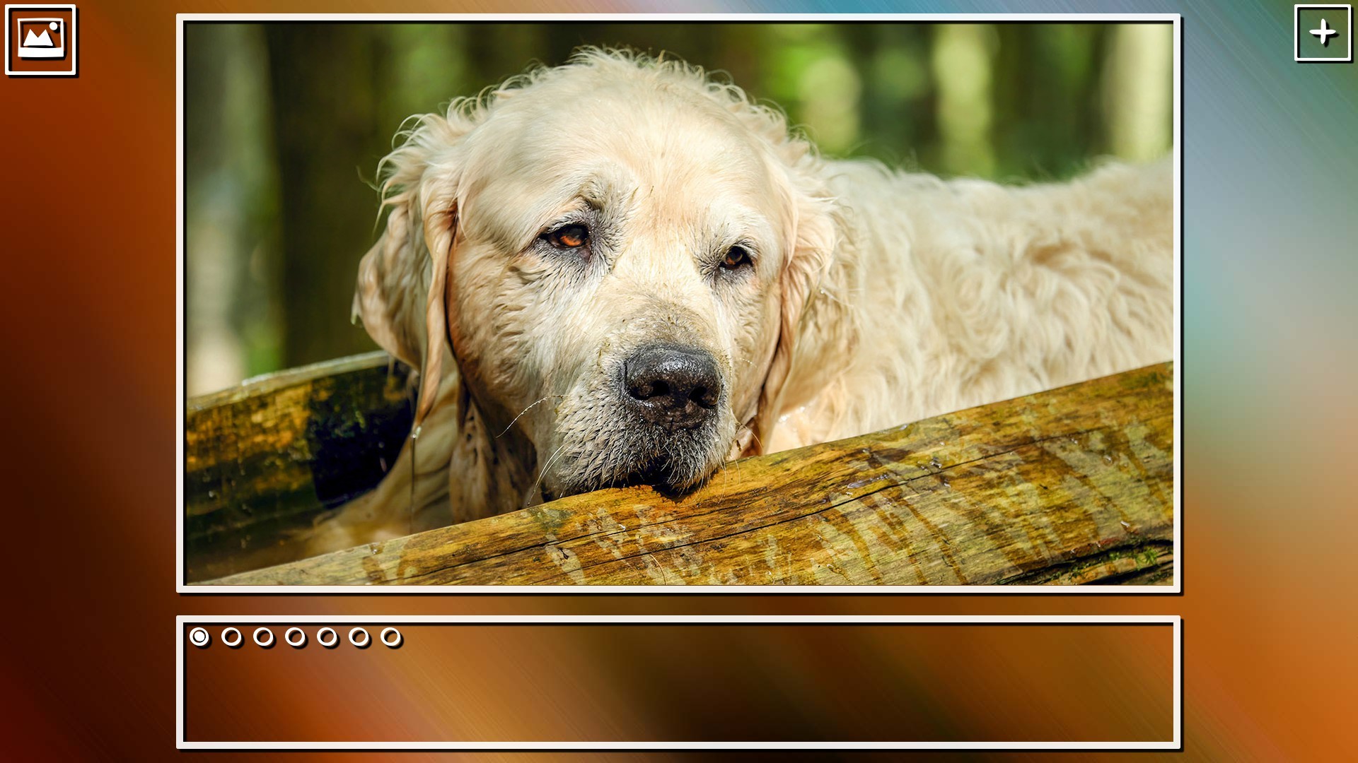 Super Jigsaw Puzzle: Generations - Dogs Puzzles screenshot 1